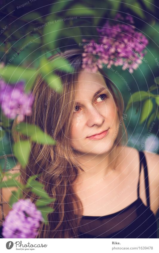 Verwunschen. Allergie Sinnesorgane Mensch feminin Junge Frau Jugendliche Gesicht 1 18-30 Jahre Erwachsene Umwelt Natur Pflanze Sommer Sträucher Fliederbusch