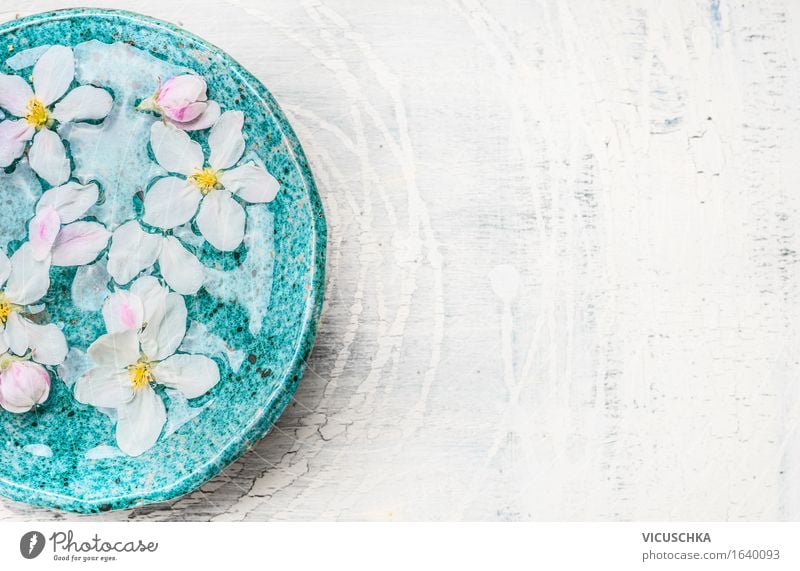 Weiße Blumen in türkisblauer Schüssel mit Wasser Stil Design schön Körperpflege Kosmetik Parfum Gesundheit Alternativmedizin Wellness Wohlgefühl Sinnesorgane