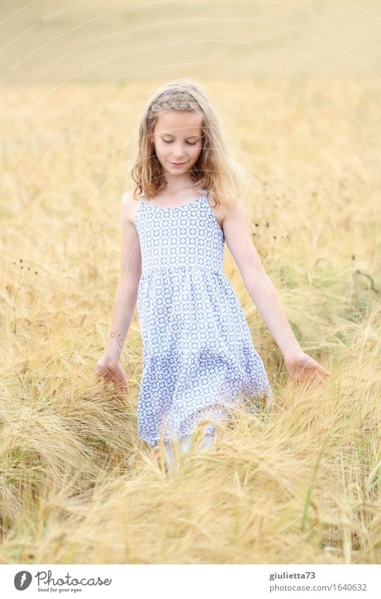 summer feeling ||| feminin Kind Mädchen Kindheit 1 Mensch 8-13 Jahre Sommer Feld Getreidefeld Kornfeld Kleid blond langhaarig berühren Denken gehen Lächeln