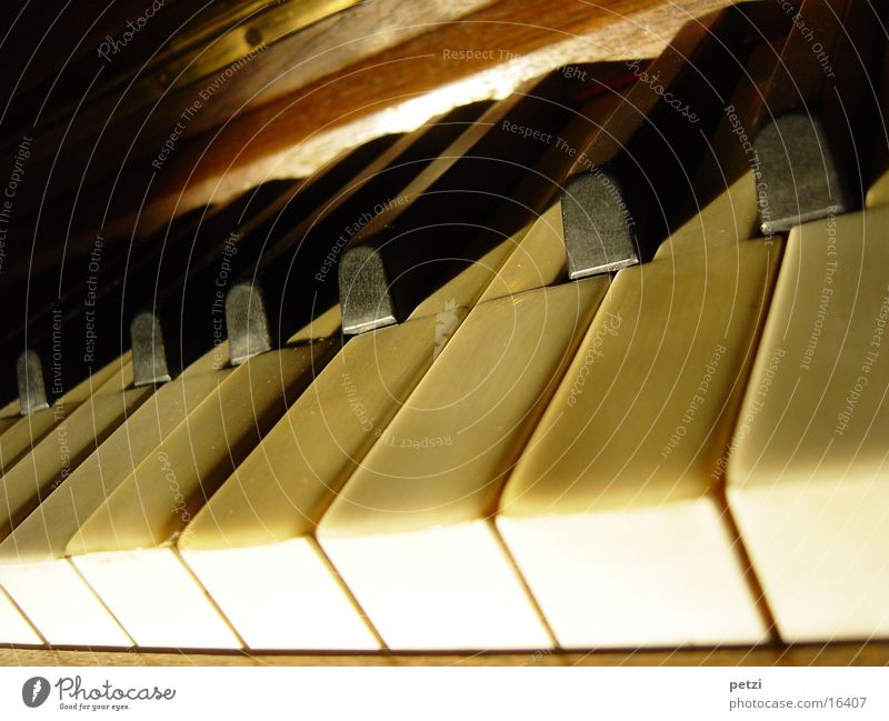 Tasten Handwerk Klavier Holz alt berühren schwarz weiß Elfenbein Messing Lichteinfall Farbfoto mehrfarbig Innenaufnahme Detailaufnahme Zentralperspektive