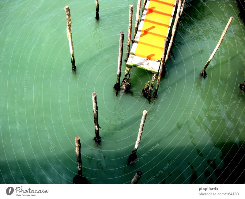 Gelber Teppich Farbfoto Außenaufnahme Menschenleer Morgen Tag Schatten Reflexion & Spiegelung Sonnenlicht Vogelperspektive ruhig Wasser Flussufer Steg Holz