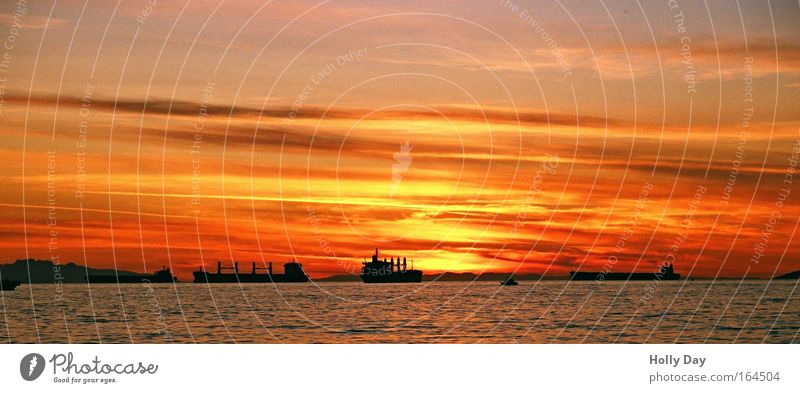 Sunset & Ships Güterverkehr & Logistik Himmel Wolken Horizont Sonnenaufgang Sonnenuntergang Sommer Schönes Wetter Küste Meer Pazifik Containerschiff Öltanker