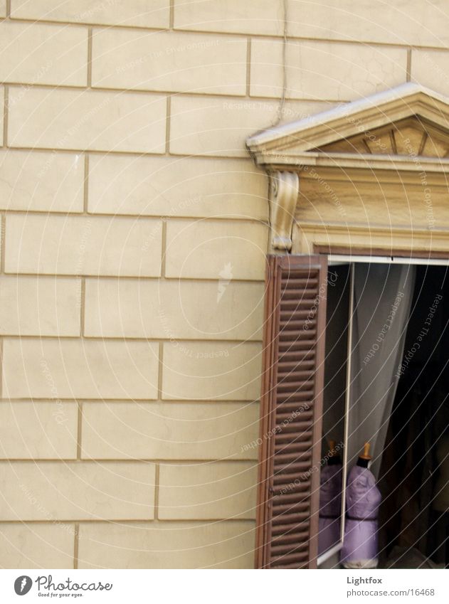 Büste am Fenster Haus Wand Fensterladen Holz violett Italien Vorhang Fototechnik klassisch. klassizismus Einsamkeit