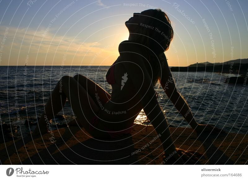 ganslhaut mehrfarbig Außenaufnahme Abend Silhouette Sonnenaufgang Sonnenuntergang Gegenlicht Ganzkörperaufnahme Profil harmonisch Wohlgefühl Erholung Strand