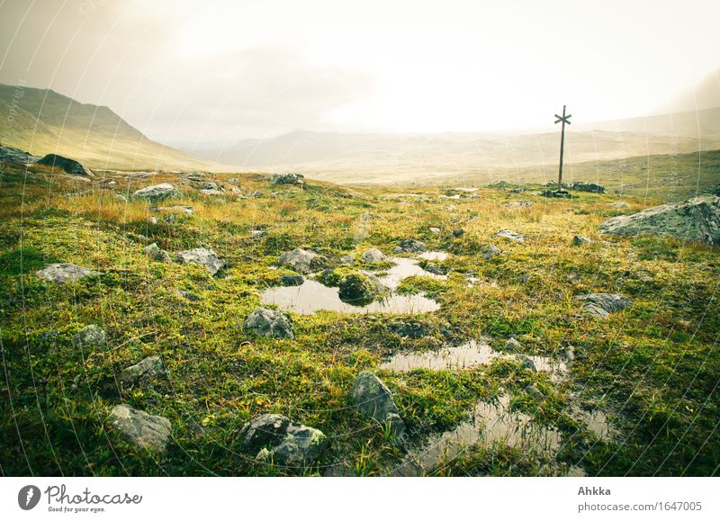 Tundra III Ferien & Urlaub & Reisen Abenteuer Landschaft schlechtes Wetter Regen Sträucher Moor Sumpf Schilder & Markierungen nass Traurigkeit Sorge Schmerz