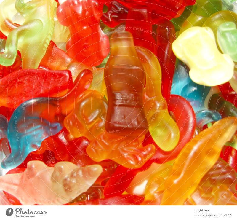 Gib Gummi Junge mehrfarbig Gummibärchen Ernährung lecker Kalorie süß dick Cola Dinosaurier Dickmacher