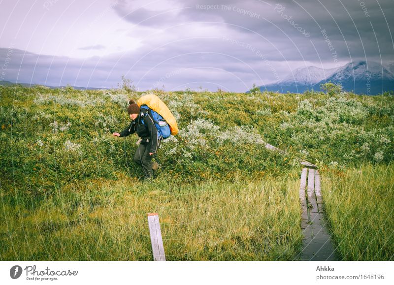 Irrwege XII Ferien & Urlaub & Reisen Abenteuer Berge u. Gebirge wandern Mensch 1 Natur Moor Sumpf Wege & Pfade grün Problemlösung Optimismus Irritation