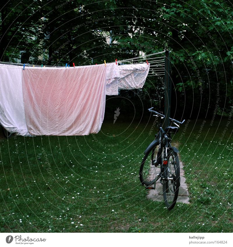 besuch der alten dame Häusliches Leben Garten Wiese Haus schlafen grün Fahrrad Wäsche trocknen Wäscheleine Bettwäsche Fahrradrahmen Wäscheklammern hängend Luft