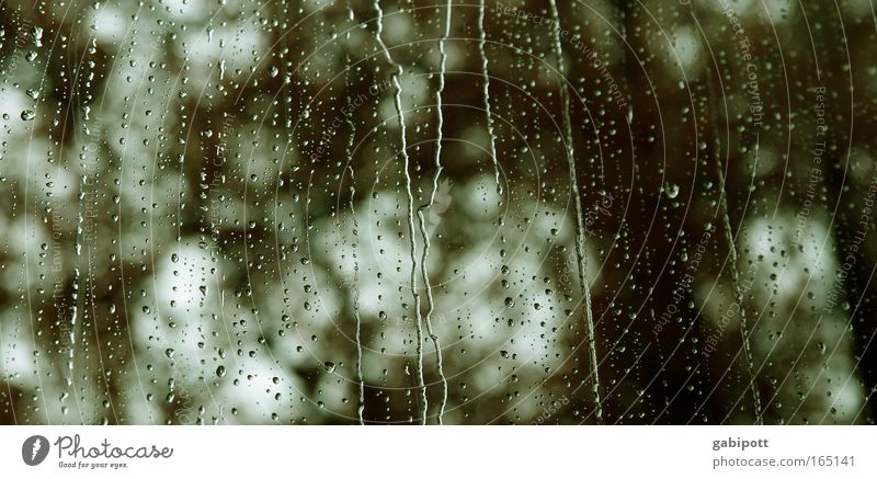 BB 04.09 | das wetter im april Menschenleer Wetter schlechtes Wetter Regen Baden-Baden Fenster träumen Traurigkeit warten nass trist Müdigkeit Unlust Sehnsucht