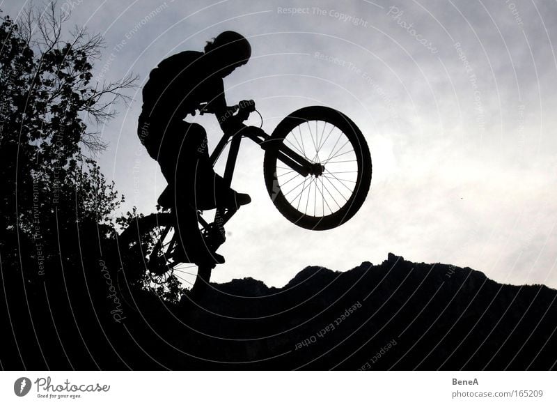 Bike Freude Sport Sportler Mountainbike Dirtbike Mountainbiking MTB Fahrradfahren Baum Alpen Berge u. Gebirge Bewegung springen Gesundheit schwarz Mut Fitness