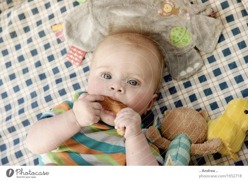 Brezel schmeckt gut feminin Kind Baby Kleinkind Mädchen Kindheit 1 Mensch 0-12 Monate Essen erste Mahlzeit nagen Blick in die Kamera blaue Augen liegen