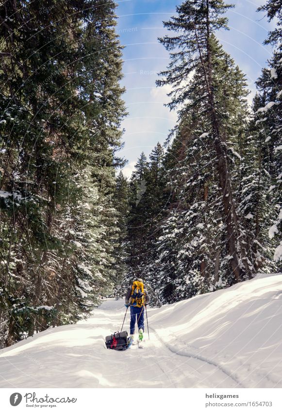 Winterpfad wandern Skifahren Mann Erwachsene 1 Mensch 18-30 Jahre Jugendliche Natur Himmel Baum Berge u. Gebirge laufen La Sal Mountains Utah Moab Schlitten