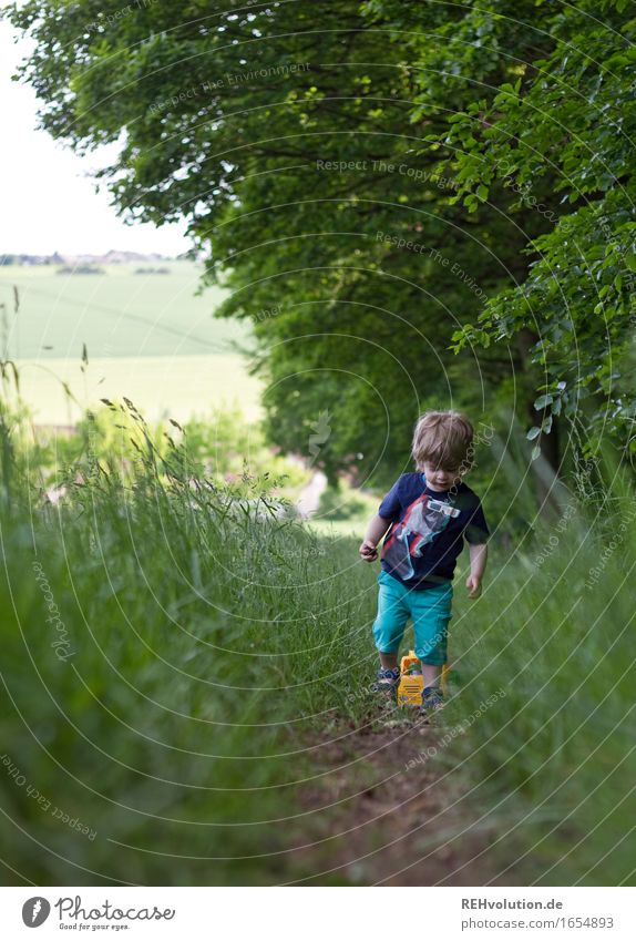 Am Waldrand Mensch maskulin Kind Kleinkind Junge 1 1-3 Jahre Umwelt Natur Landschaft Sommer Schönes Wetter Wiese Wege & Pfade gehen laufen Spielen klein grün