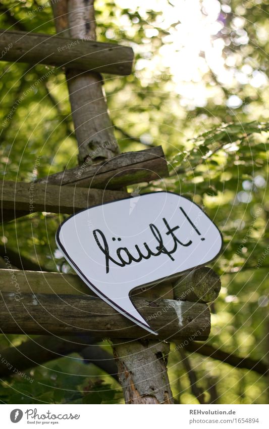 700 | läuft Umwelt Natur Landschaft Wald Holz Zeichen Schriftzeichen Schilder & Markierungen Hinweisschild Warnschild außergewöhnlich Coolness Erfolg trendy
