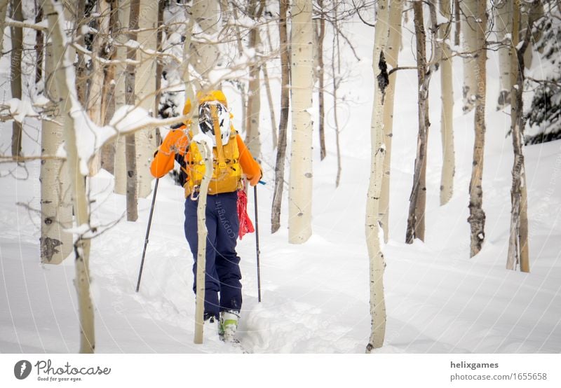Winterwanderung durch die Espen Ferien & Urlaub & Reisen Abenteuer Schnee Berge u. Gebirge Sport Klettern Bergsteigen Skifahren Mensch Erwachsene 1 18-30 Jahre