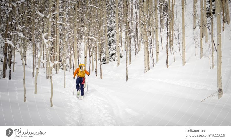 Wandern durch die Bäume Ferien & Urlaub & Reisen Abenteuer Winter Schnee Berge u. Gebirge Sport Klettern Bergsteigen Skifahren Mensch Erwachsene 1 Natur