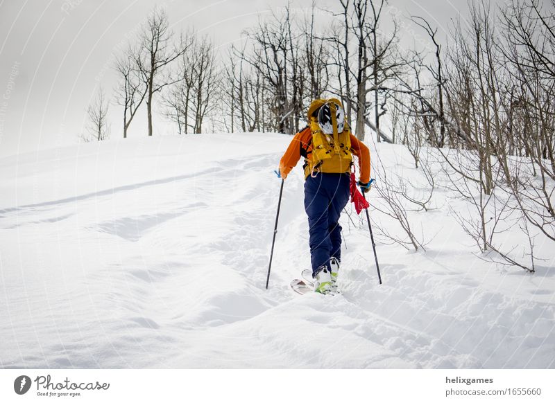 In der Nähe des Gipfels Ferien & Urlaub & Reisen Abenteuer Winter Schnee Berge u. Gebirge Sport Klettern Bergsteigen Skifahren Mensch Mann Erwachsene 1