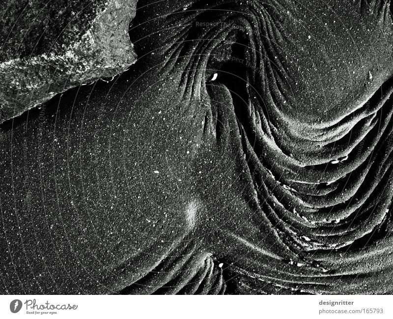 Tektonik Schwarzweißfoto Außenaufnahme Detailaufnahme abstrakt Muster Strukturen & Formen Menschenleer Textfreiraum links Schatten Kontrast Starke Tiefenschärfe
