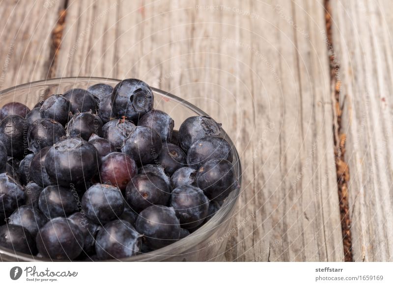 Klarglasschüssel reife Blaubeeren Lebensmittel Frucht Ernährung Essen Frühstück Picknick Bioprodukte Vegetarische Ernährung Diät Schalen & Schüsseln Pflanze
