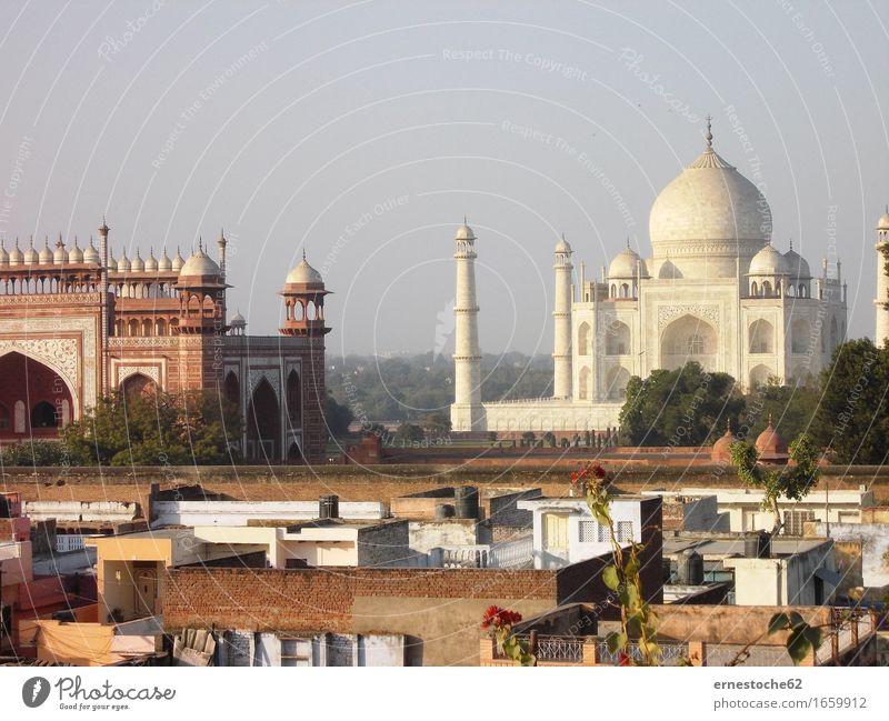 Blick auf das Taj Mahal Agra Indien Asien Palast Sehenswürdigkeit Wahrzeichen Meditation Grabmal Marmor weiß Tempel Liebe Architektur Mogul Großmogul Nordindien