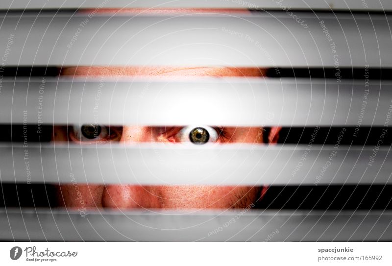 Stripes Farbfoto Textfreiraum oben Kontrast Blick Blick in die Kamera Gesicht Mann Erwachsene Kopf Auge 1 Mensch beobachten entdecken bedrohlich Neugier