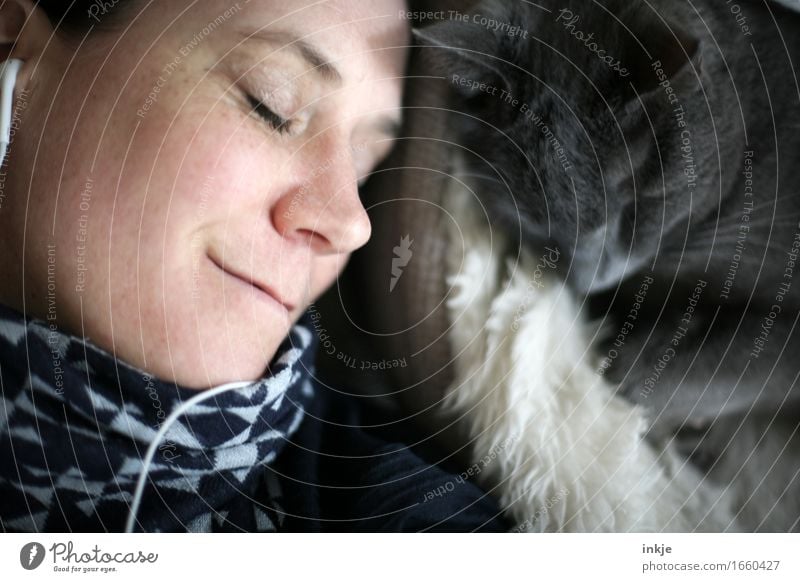 Liebhaben Lifestyle Häusliches Leben Kopfhörer Frau Erwachsene Gesicht 1 Mensch 30-45 Jahre Musik hören Haustier Katze Hauskatze Tier Lächeln Zusammensein