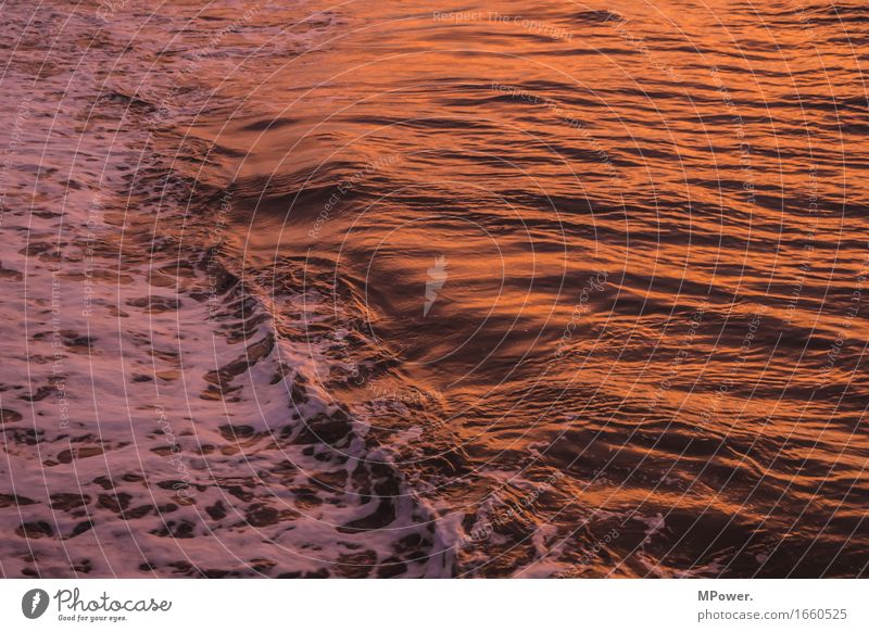 wave Umwelt Natur Wasser Schönes Wetter schlechtes Wetter Wind schön Ostsee Steg Abenddämmerung glühen Wellen Meer Küste Holz rot orange Einsamkeit ruhig