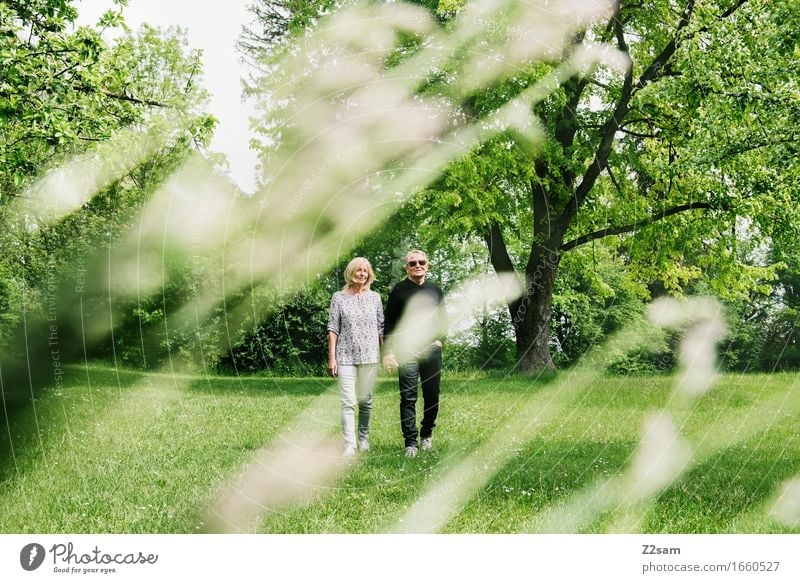 Sommerspaziergang Lifestyle Ausflug Freiheit Weiblicher Senior Frau Männlicher Senior Mann Paar Partner 60 und älter Natur Landschaft Schönes Wetter Garten Park