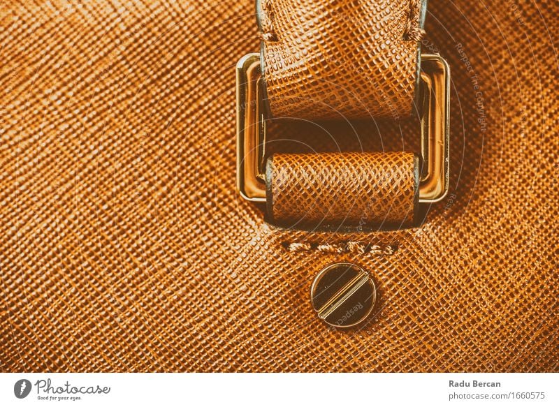 Brown-Leder-Frauen-Taschen-Nahaufnahme Lifestyle Reichtum elegant Stil Design Mode Bekleidung Accessoire feminin braun Erfolg Farbe schön Frauentasche
