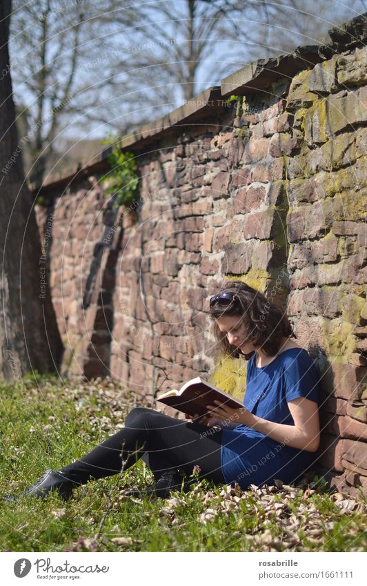 Zeit im Sonnenschein - brünette junge Frau sitzt in ihrer Freizeit auf einer Wiese an eine Sandsteinmauer gelehnt und liest in der Bibel Freude Zufriedenheit