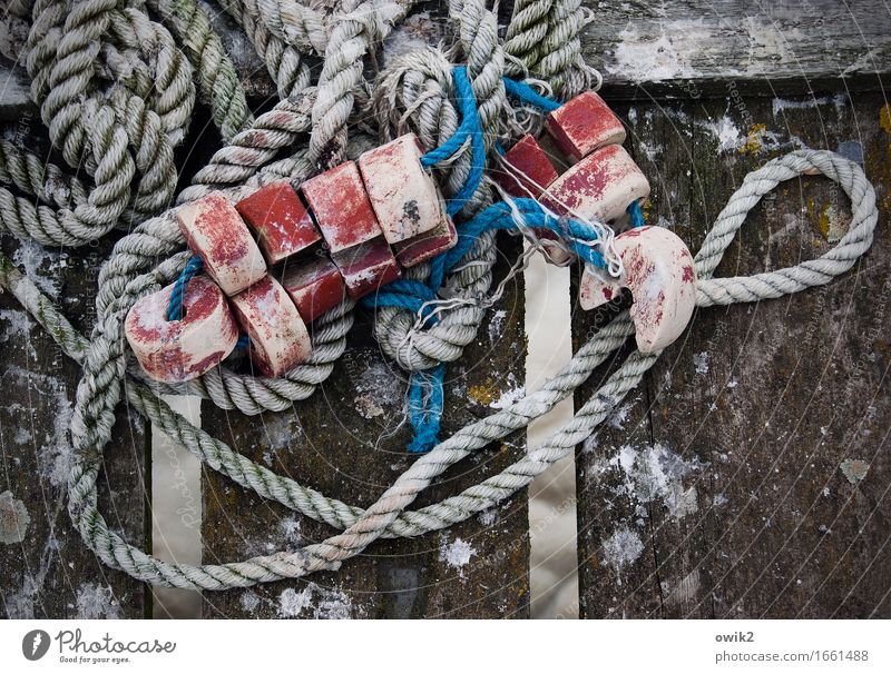 Kamminke, Usedom Schwimmer (Angeln) Seil Holz Kunststoff liegen dreckig fest maritim trashig unten rot Idylle Fischereiwirtschaft Fischereihafen Deutschland