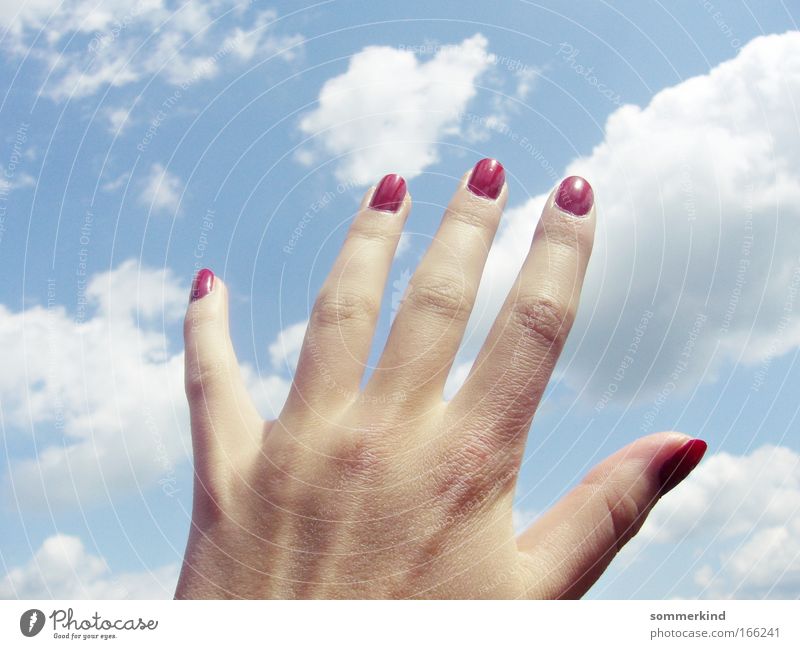 Nach den Wolken greifen Maniküre Nagellack Freiheit Sommer Sonne feminin Hand Finger Natur Himmel Sonnenlicht Schönes Wetter Watte berühren entdecken fangen