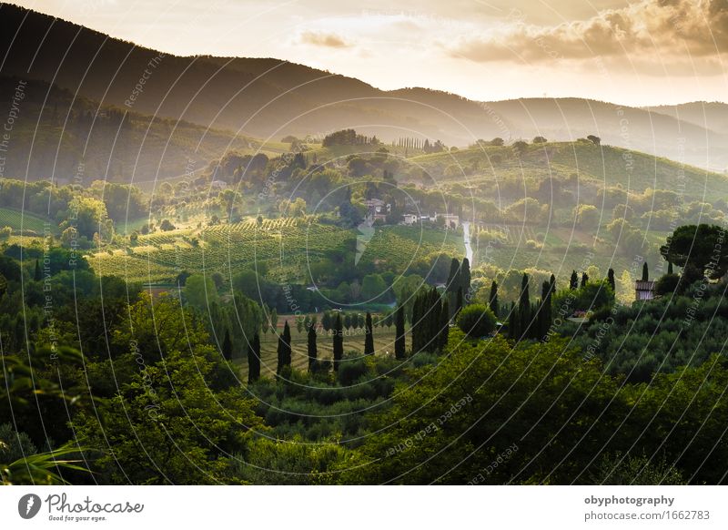 Toskana Licht ein Nebel Italienische Küche Erholung Meditation Ferien & Urlaub & Reisen Ausflug Sightseeing Städtereise Fahrradtour Sommerurlaub Landschaft