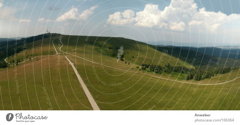 Schwarzwalddach - Feldberg vom Seebuck Farbfoto Außenaufnahme Menschenleer Textfreiraum unten Tag Sonnenlicht Vogelperspektive Panorama (Aussicht) Weitwinkel