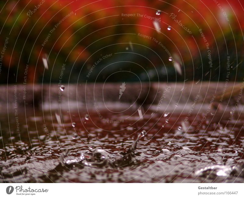 Wasserspiel Wassertropfen Tropfen braun rot Traurigkeit ästhetisch Bewegung einzigartig rein Oberflächenstruktur Farbfoto Außenaufnahme Detailaufnahme