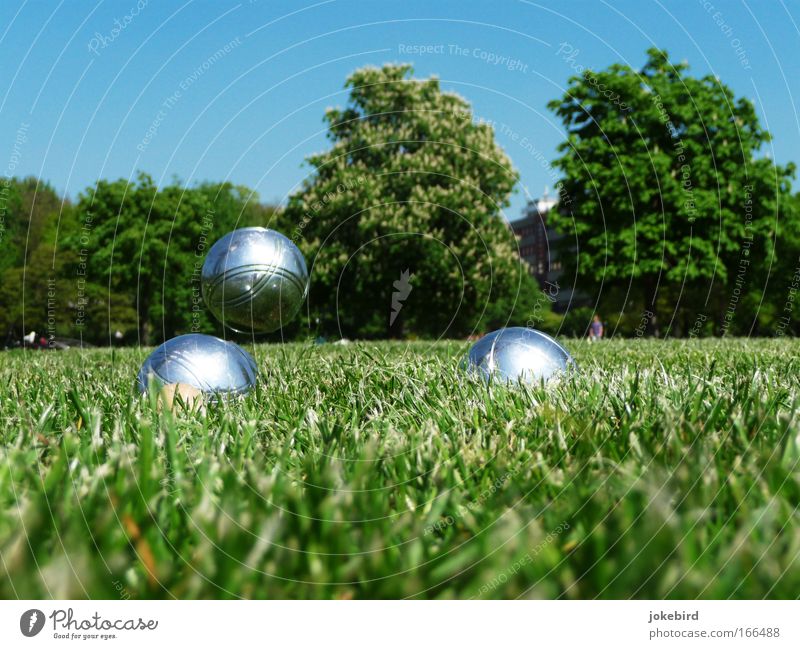 A-Park Freizeit & Hobby Spielen Garten Boule Himmel Wolkenloser Himmel Sonnenlicht Schönes Wetter Baum Gras Wiese Metall Kugel Bewegung Erholung fliegen werfen