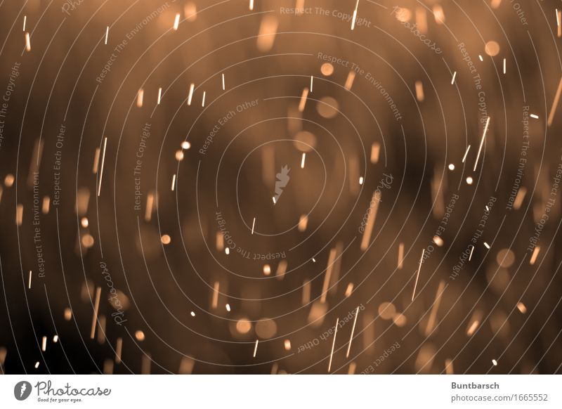 Sommerregen Urelemente Wasser Wassertropfen Wetter Schönes Wetter schlechtes Wetter Regen braun Natur Farbfoto Gedeckte Farben Außenaufnahme Nahaufnahme Tag
