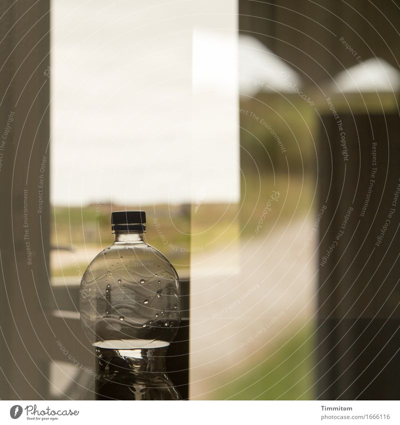 Wasser thut's freilich. Getränk Mineralwasser Ferien & Urlaub & Reisen Natur Dänemark Ferienhaus Fenster einfach grün Erholung Pfandflasche Doppelbelichtung
