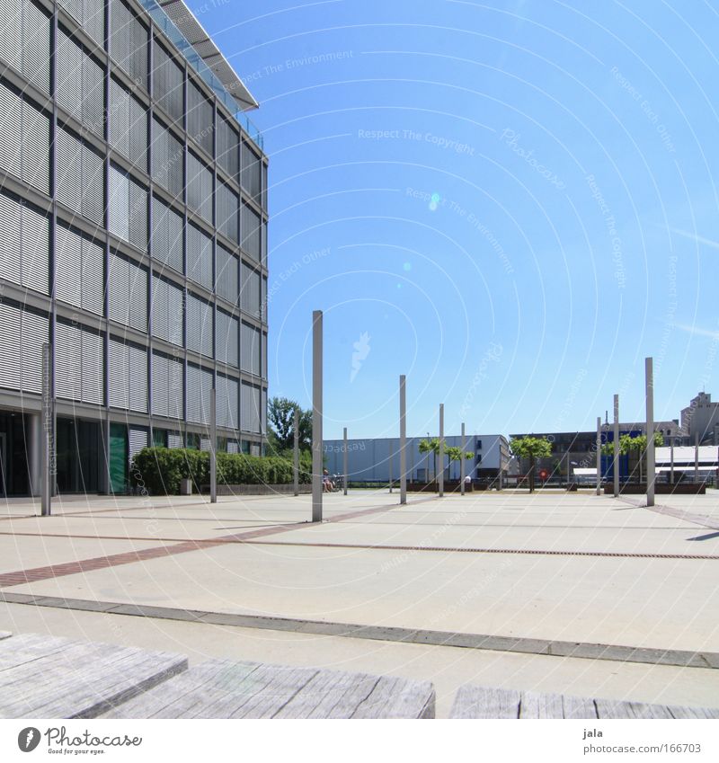 [PC-Usertreff Ffm]: Der freie Platz Farbfoto Außenaufnahme Tag Lichterscheinung Sonnenlicht Zentralperspektive Skulptur Himmel Grünpflanze Frankfurt am Main