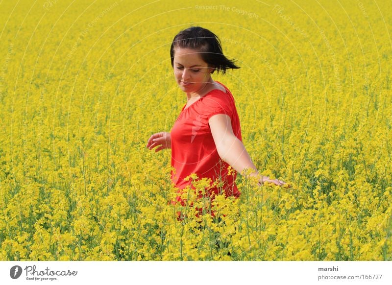 gelbes Gefühl Freude Glück Freizeit & Hobby Mensch feminin 1 18-30 Jahre Jugendliche Erwachsene Natur Landschaft Frühling Sommer berühren Bewegung genießen