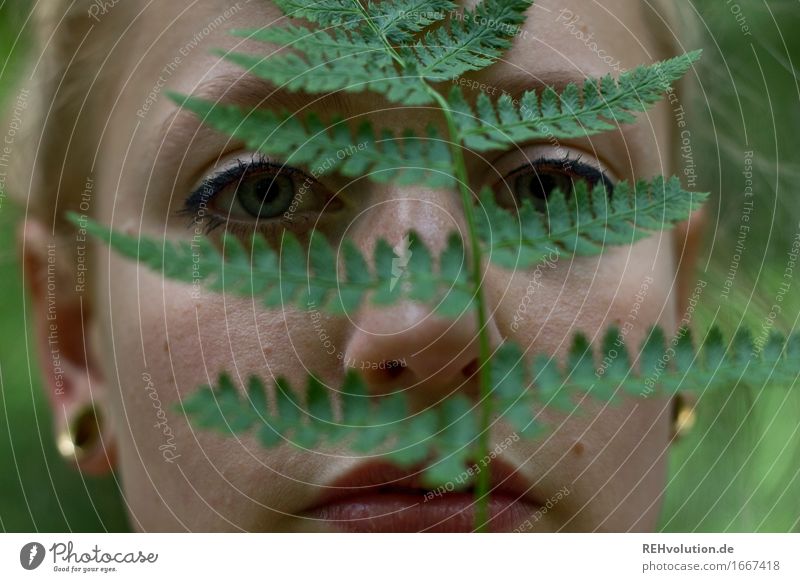 alexa im wald Mensch feminin Junge Frau Jugendliche Erwachsene Gesicht 1 18-30 Jahre Umwelt Natur Pflanze Farn Blatt Grünpflanze Wald Ohrringe blond Blick schön