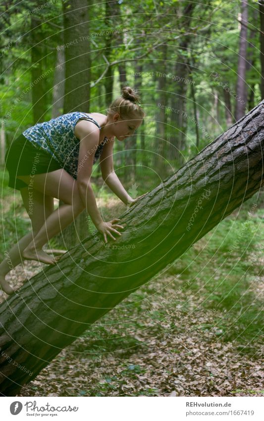 Alexa | klettert Ausflug Abenteuer Mensch feminin Junge Frau Jugendliche 1 18-30 Jahre Erwachsene Umwelt Natur Sommer Pflanze Baum Wald blond Coolness dünn