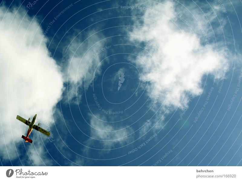 flieger, grüß mir die sonne... Farbfoto Außenaufnahme Blick nach oben Ferien & Urlaub & Reisen Ausflug Ferne Freiheit Insel Flitterwochen Himmel Wolken