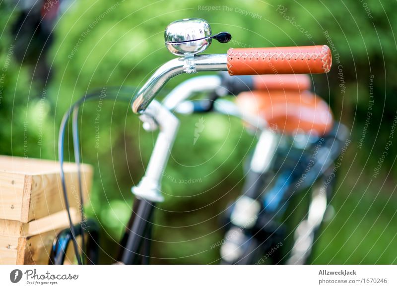 Hollandrad-Porn 11 Fahrradfahren trendy retro braun grün schwarz Mobilität nachhaltig Nostalgie Güterverkehr & Logistik Lastenfahrrad hollandrad Fahrradklingel