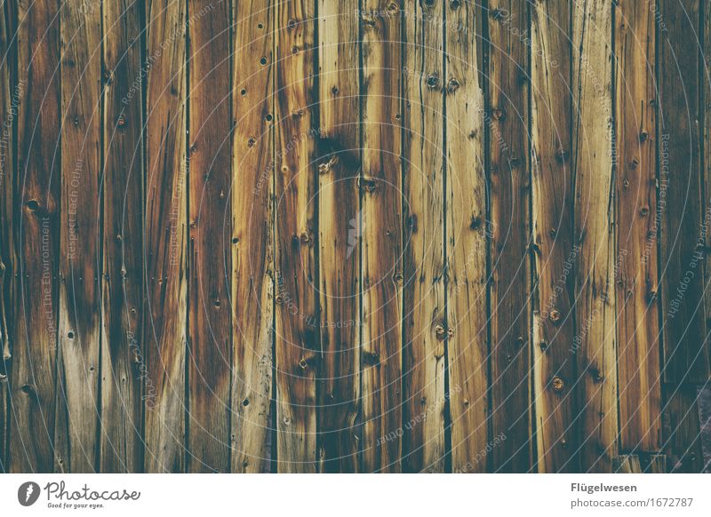 Holzhintergrund [2] Wald Holztransporter Wood-Effekt Holzbrett Schneidebrett Holzwand Wand Parkett Bodenbelag Buche Eiche Esche Erlen Fichte Kiefer Tischler