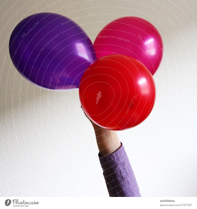 Ballonhalterin Party Feste & Feiern Geburtstag Arme 1 Mensch Luftballon festhalten rund mehrfarbig violett rosa rot Farbfoto Innenaufnahme Hintergrund neutral