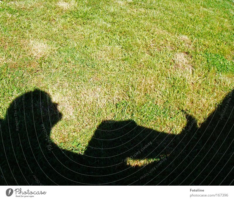 Relax Farbfoto Außenaufnahme Textfreiraum oben Tag Schatten Silhouette Sonnenlicht Glück Wellness harmonisch Wohlgefühl Zufriedenheit Erholung ruhig Freiheit