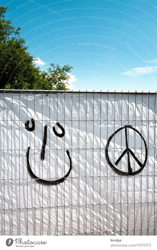 Weltfrieden wäre schon schön Lifestyle Jugendkultur Himmel Baum Bauzaun Zeichen Graffiti Frieden emoji Gesichtsausdruck Lächeln lachen frech Freundlichkeit