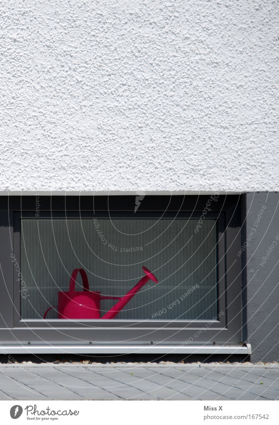 ich will in den garten Farbfoto Wohnung Garten Haus Mauer Wand Fassade Fenster rosa Einsamkeit Topfpflanze gießen Gießkanne Fensterbrett