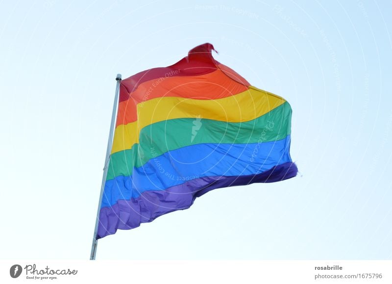 Regenbogenfahne als Symbol der Lesben- und Schwulenbewegung Homosexualität Leben Zeichen Fahne Regenbogenflagge Fröhlichkeit blau mehrfarbig gelb grün violett